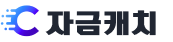 자금캐치